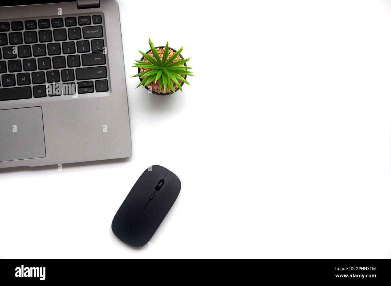 Top view of laptop, table plant and mouse on white cover background