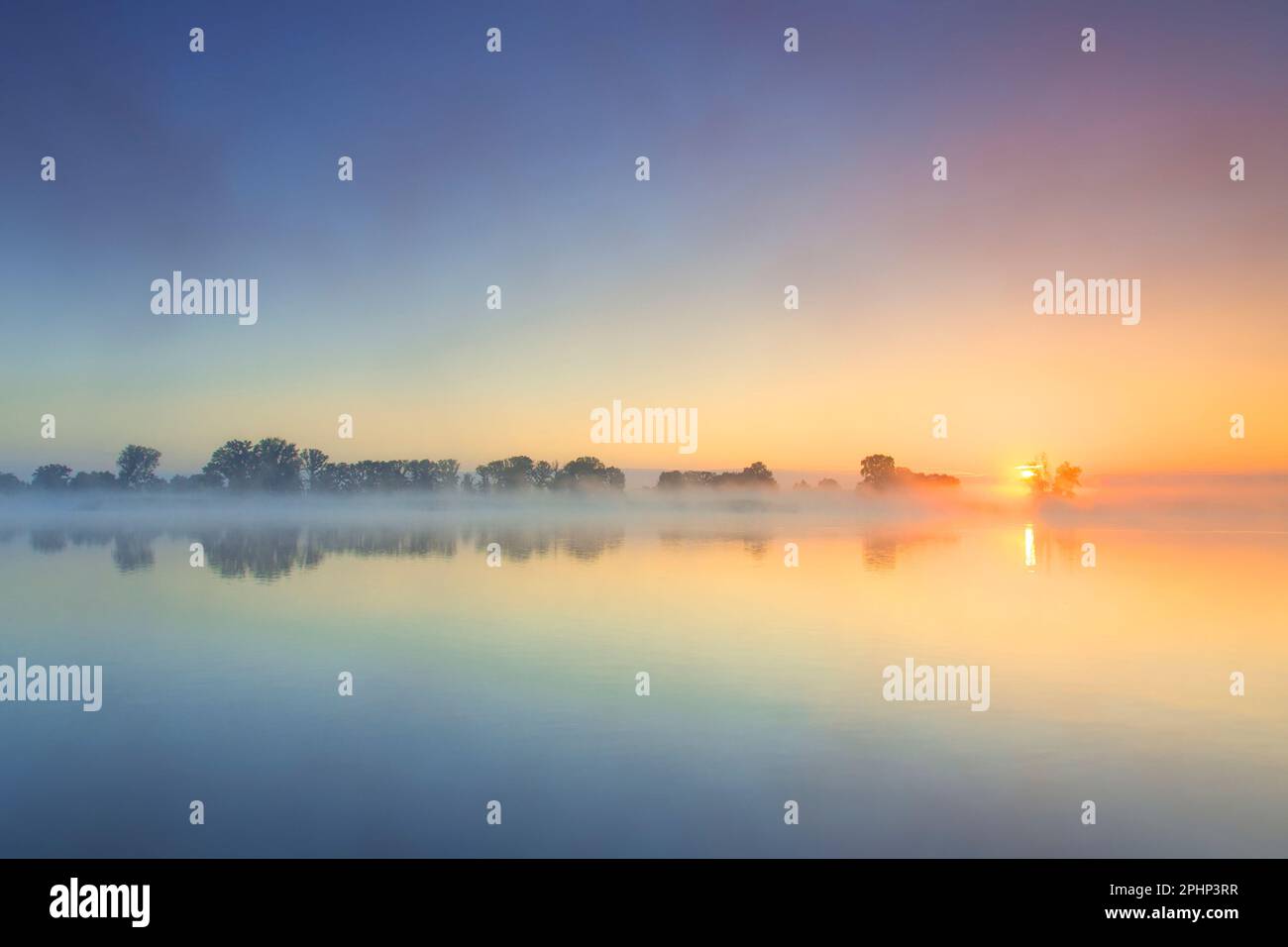 River Elbe covered in mist at dawn / sunrise at the Lower Saxon Elbe Valley Biosphere Reserve in summer, Lower Saxony / Niedersachsen, Germany Stock Photo