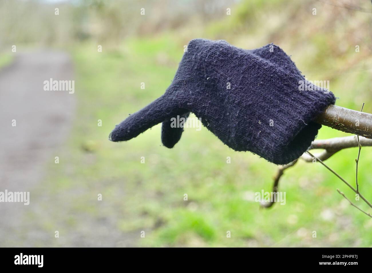 A lost glove hanging on a branch Stock Photo