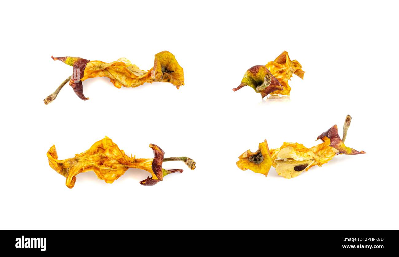 Dried Apple Core Isolated, Organic Biodegradable Garbage, Fruits