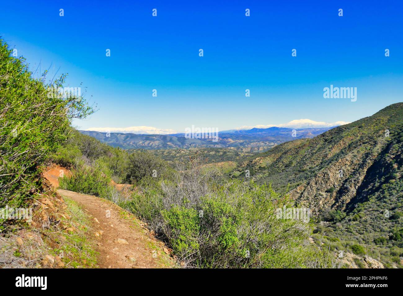 Footpath through the Agua Tibia Wilderness in Cleveland National Forest, in the background the snowy peaks of the San Jacinto Mountains, California Stock Photo