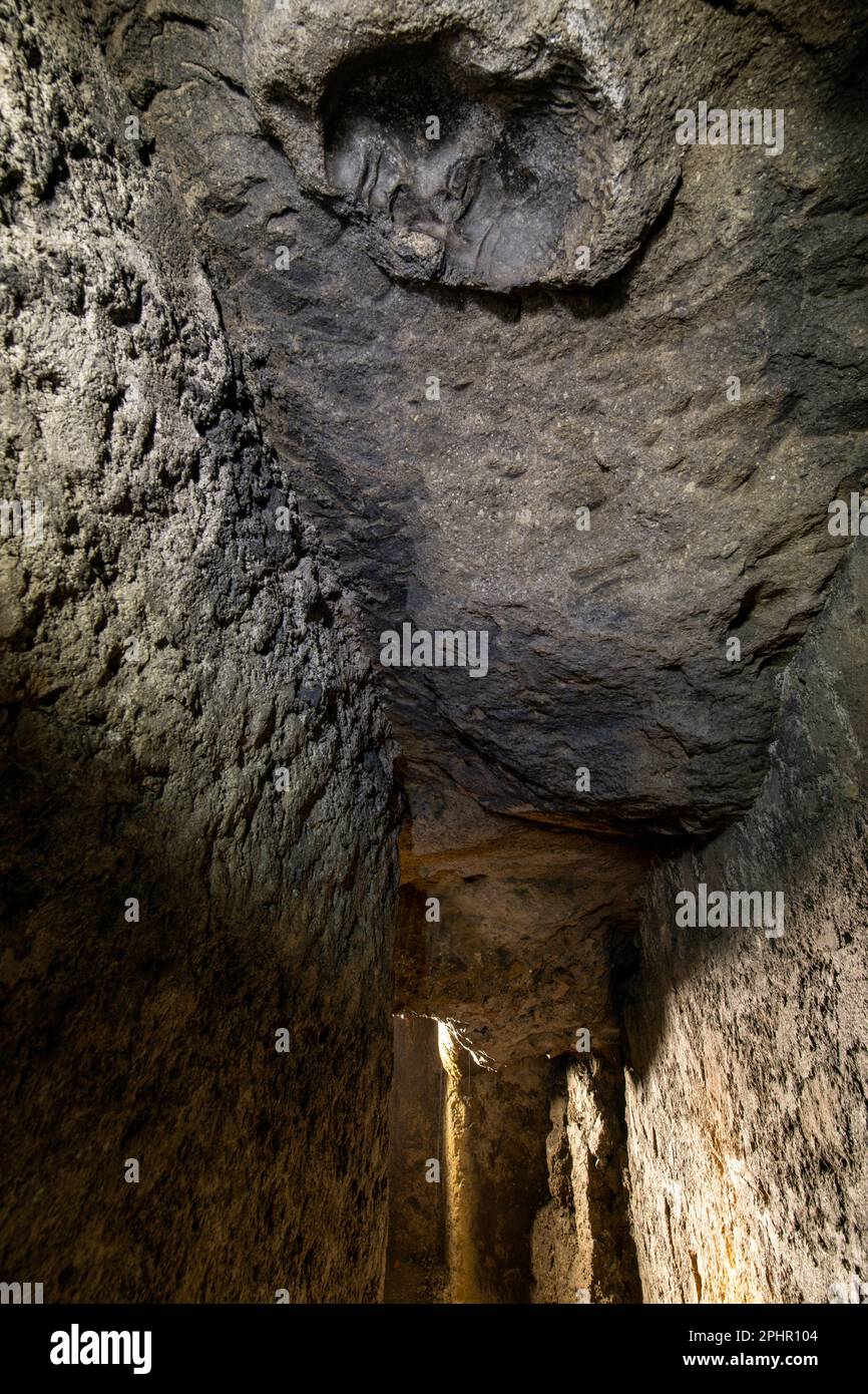 Teatro romano antico di Ercolano, Parco archeologico di Ercolano