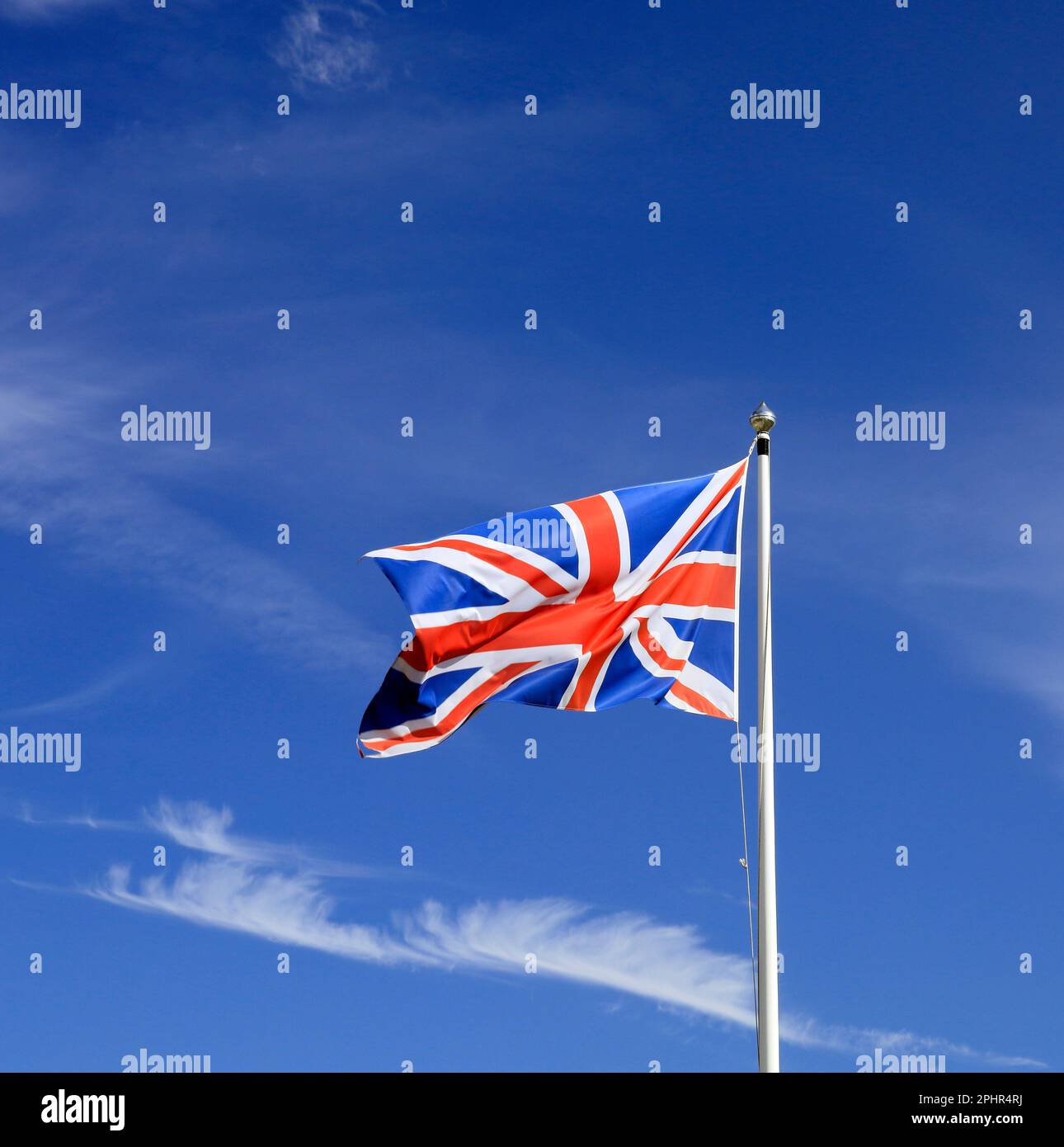 My Image 6