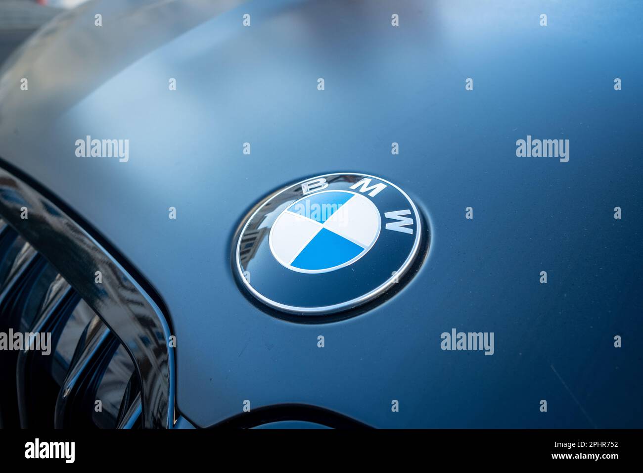 Bmw Logo On Carnull