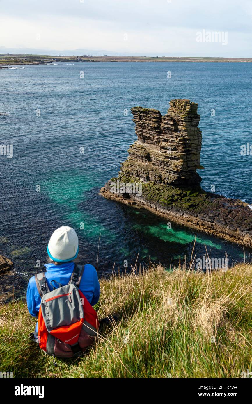 A person sitting near Castle Sinclair Girnigoe, about 3 miles north of Wick, looking at a sea stack. Stock Photo