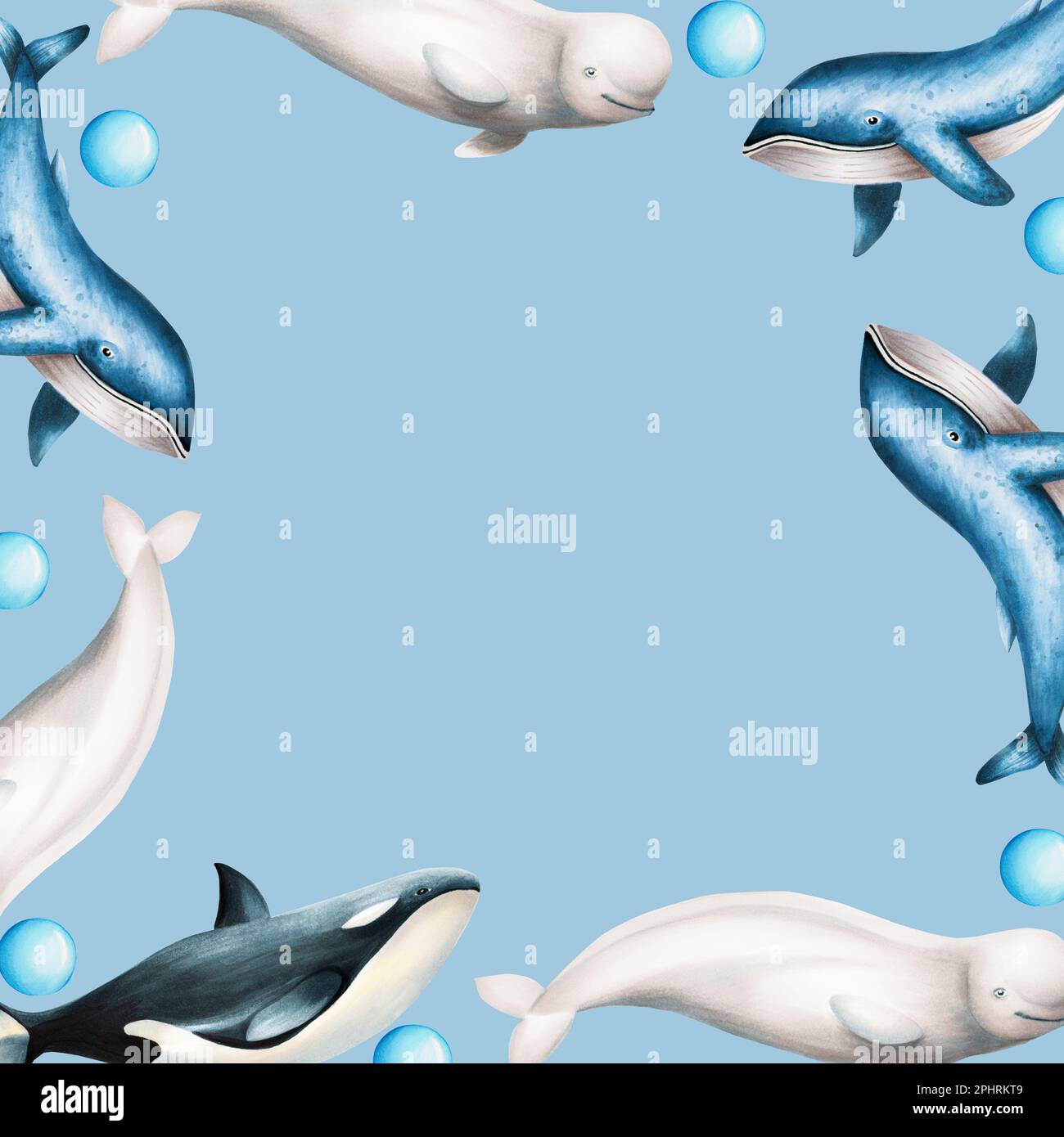 Watercolor frame with beluga, blue whale and killer whale isolated on