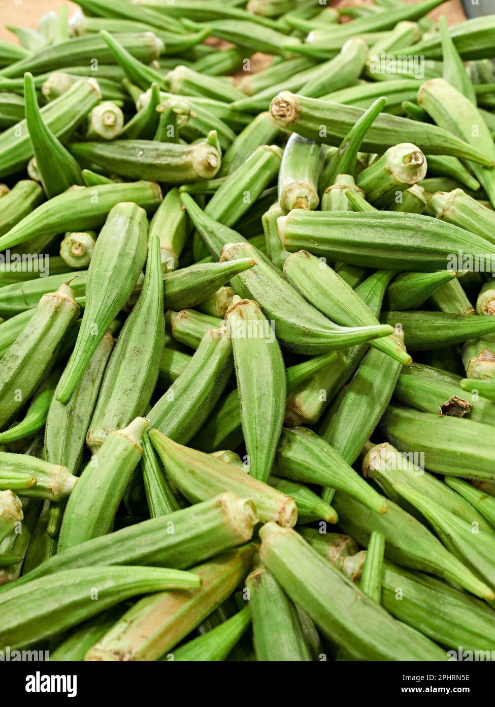 Fresh okra, Abelmoschus esculentus, a southern vegetable, in seed pods in a bin at a farm market in Montgomery Alabama, USA. Stock Photo