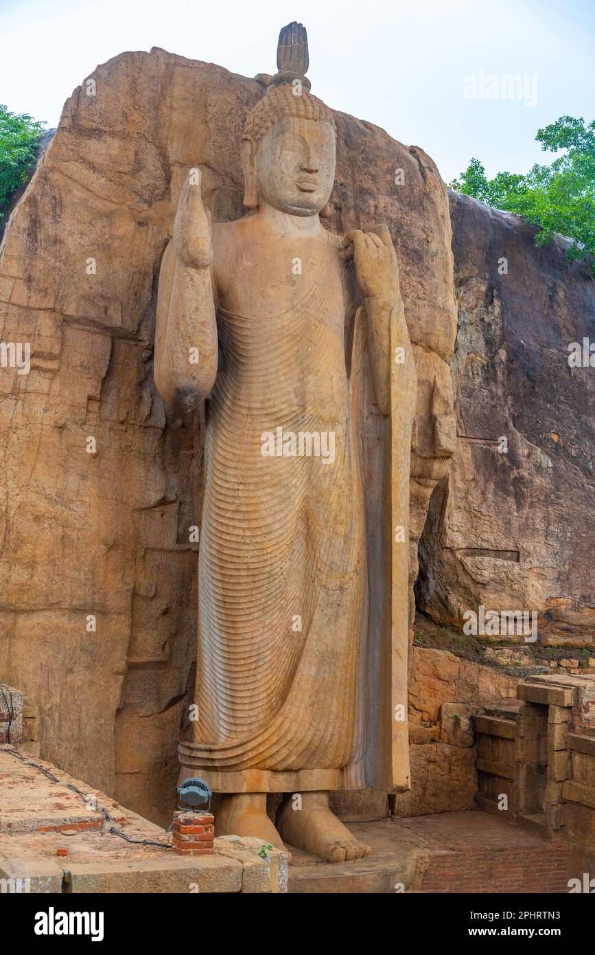 Aukana buddha statue in Sri Lanka Stock Photo Alamy