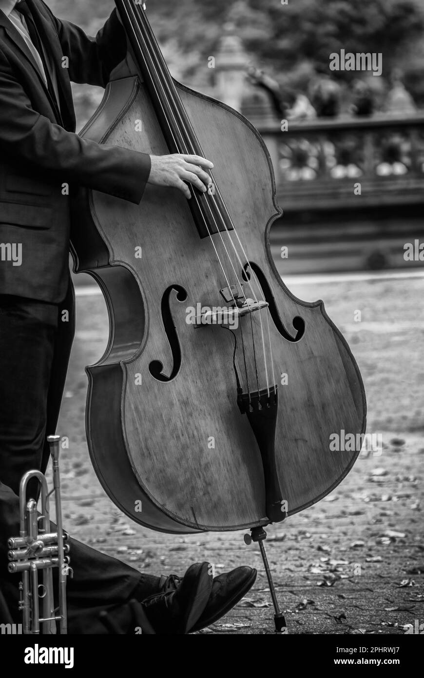 Bass Musician playing outdoors at a park. Stock Photo