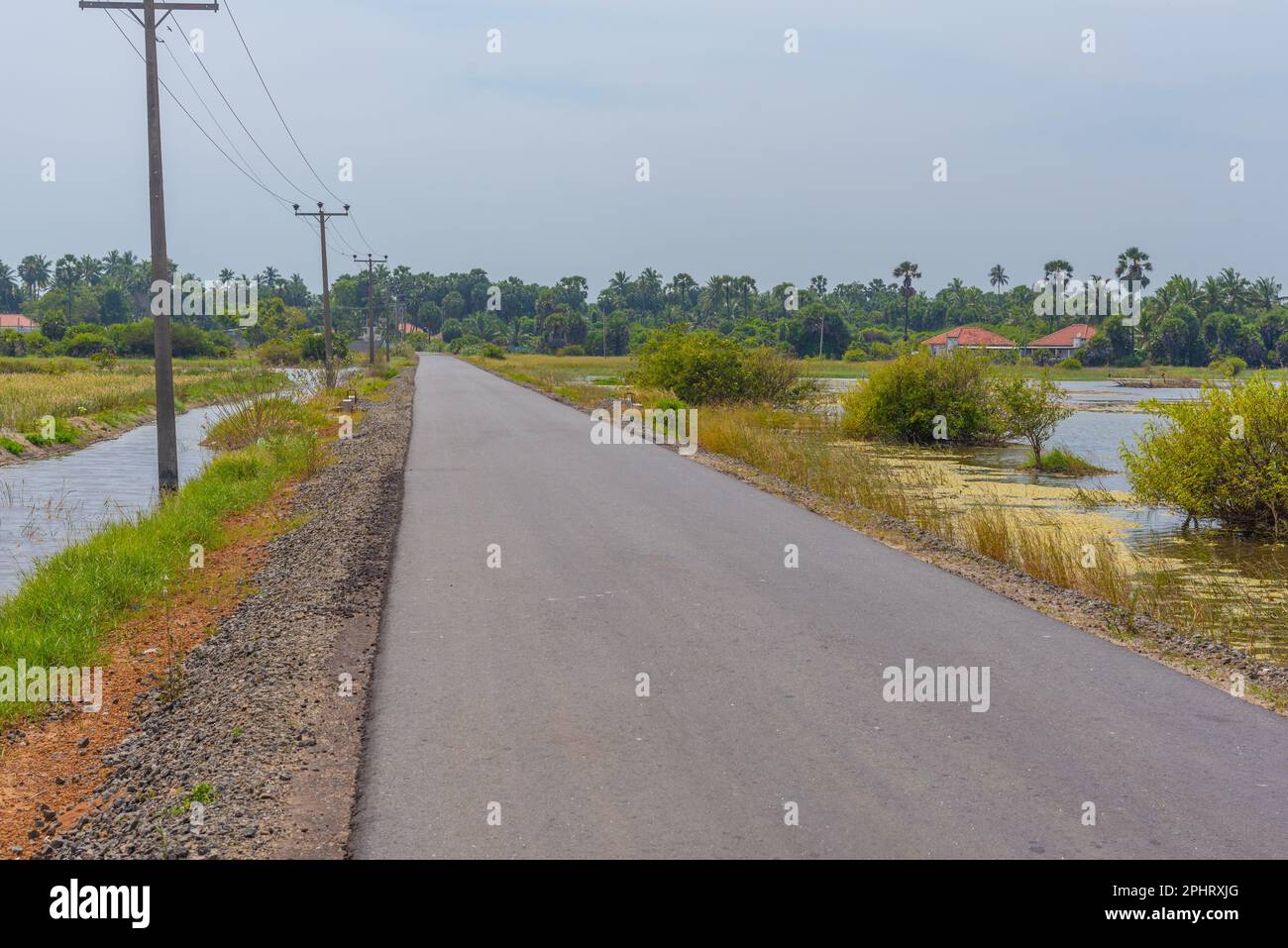 Road over Jaffna lagoon in Sri Lanka Stock Photo Alamy