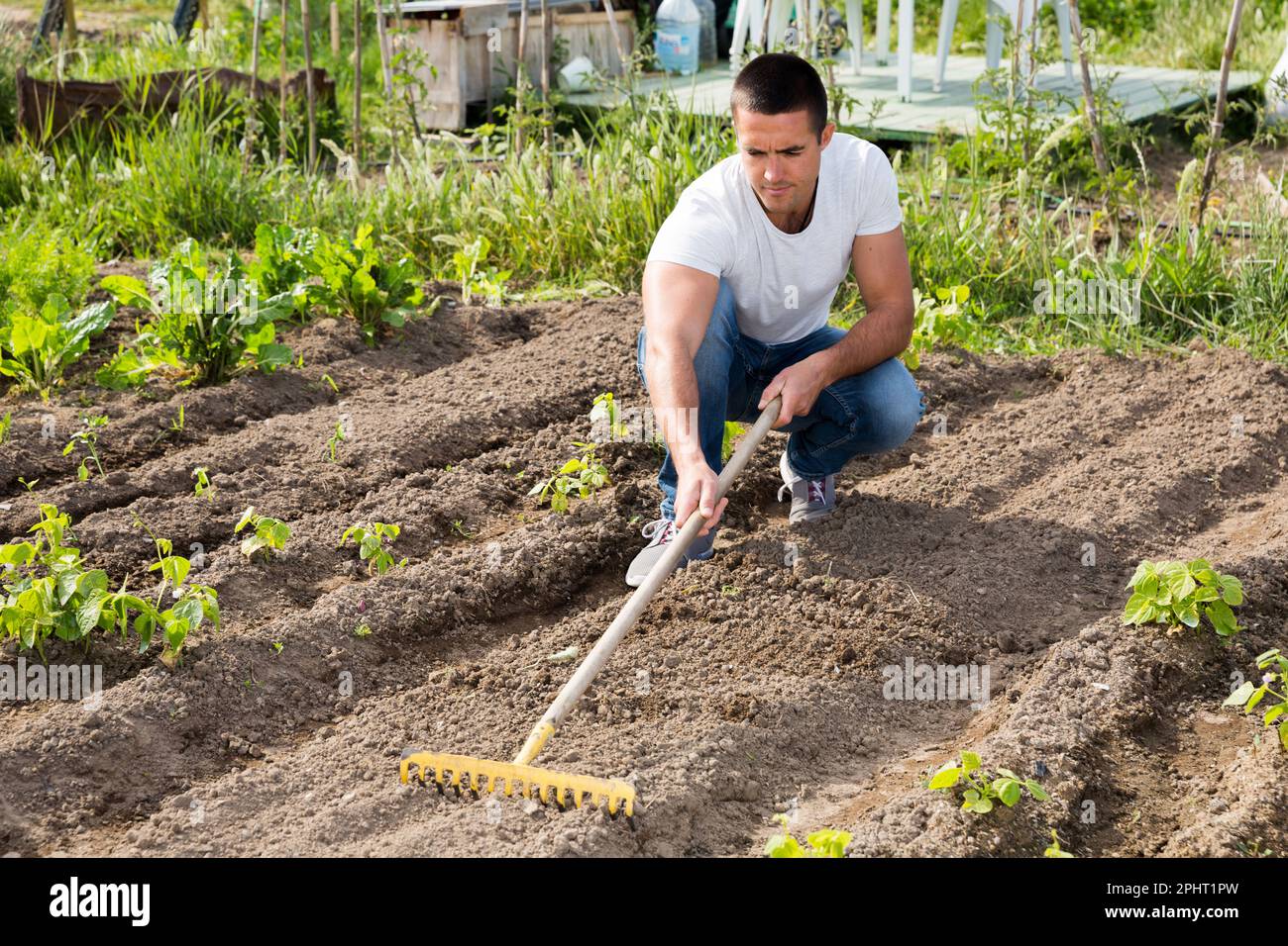 Man leveling ground rake hi-res stock photography and images - Alamy