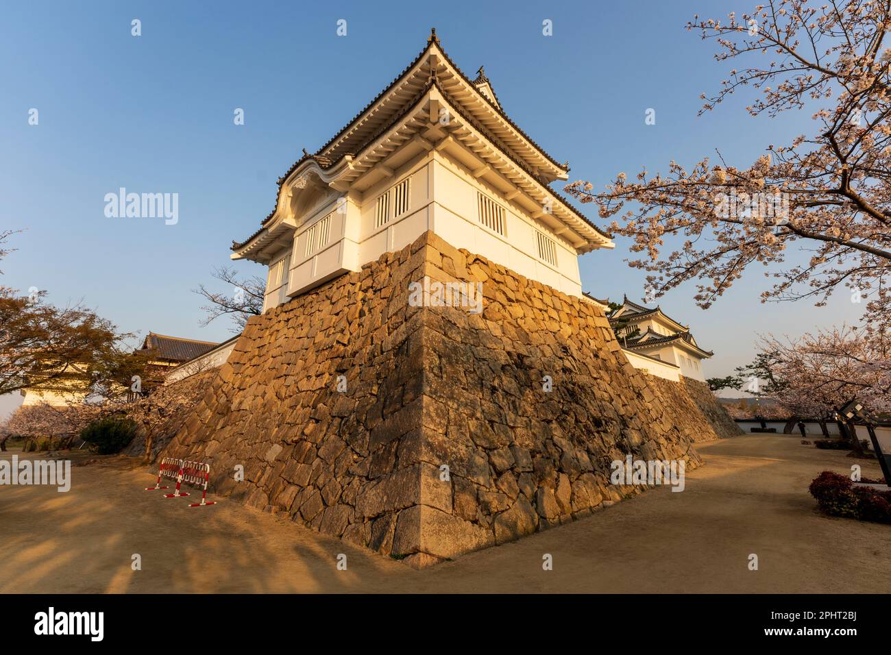 Early morning springtime golden hour shot of the Moon-viewing turret at Fukuyama castle in Japan. Cherry blossoms on the side of the picture while the turret is lit up by the early morning sunlight. Stock Photo