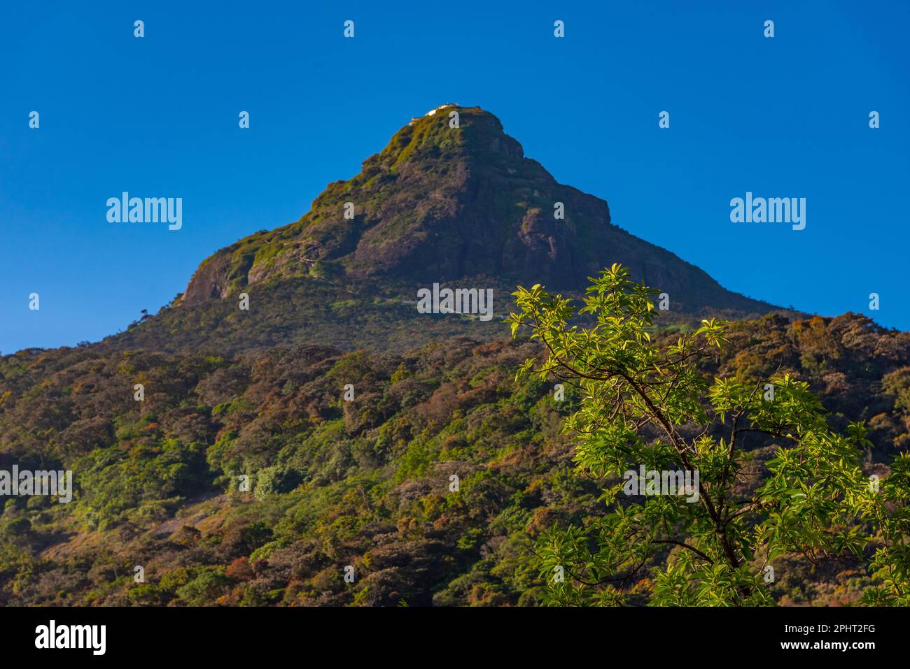Sri padaya hi-res stock photography and images - Alamy