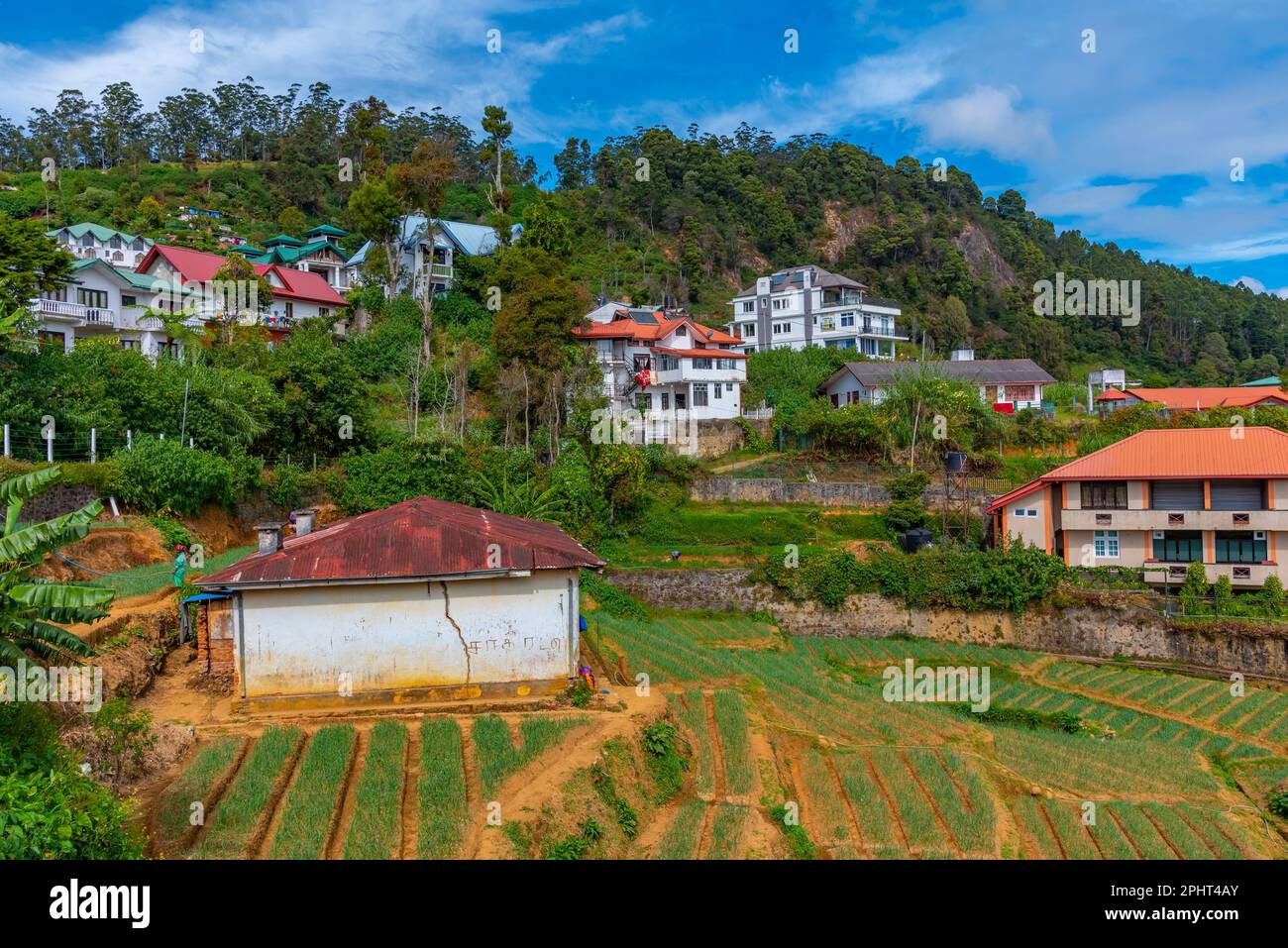 Hilly landscape of Sri Lanka dotted with villages and tea plantations ...