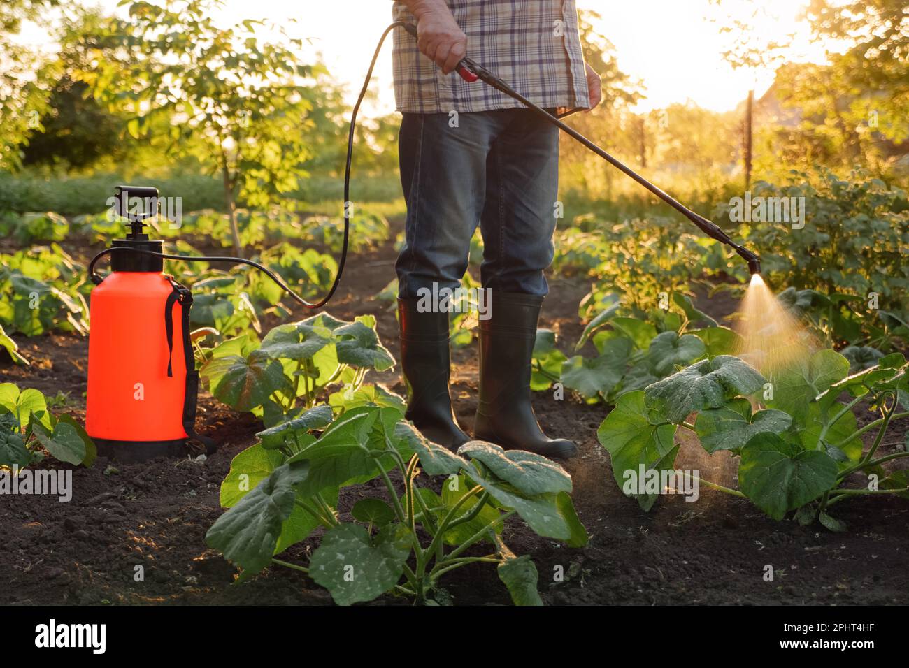 Farmer spraying pesticide sprayer garden farm vegetable garden spraying