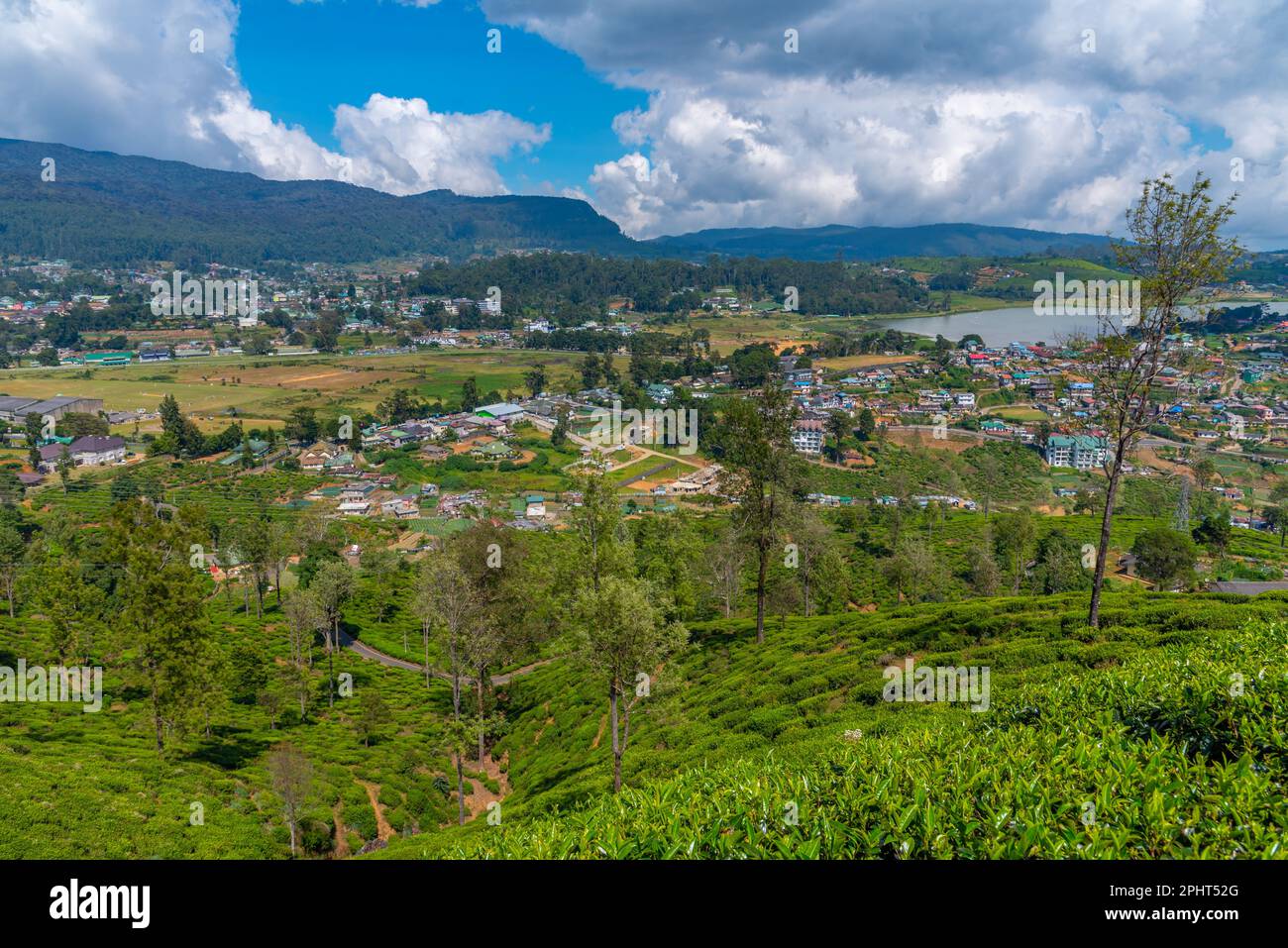 Panorama view of Nuwara Eliya at