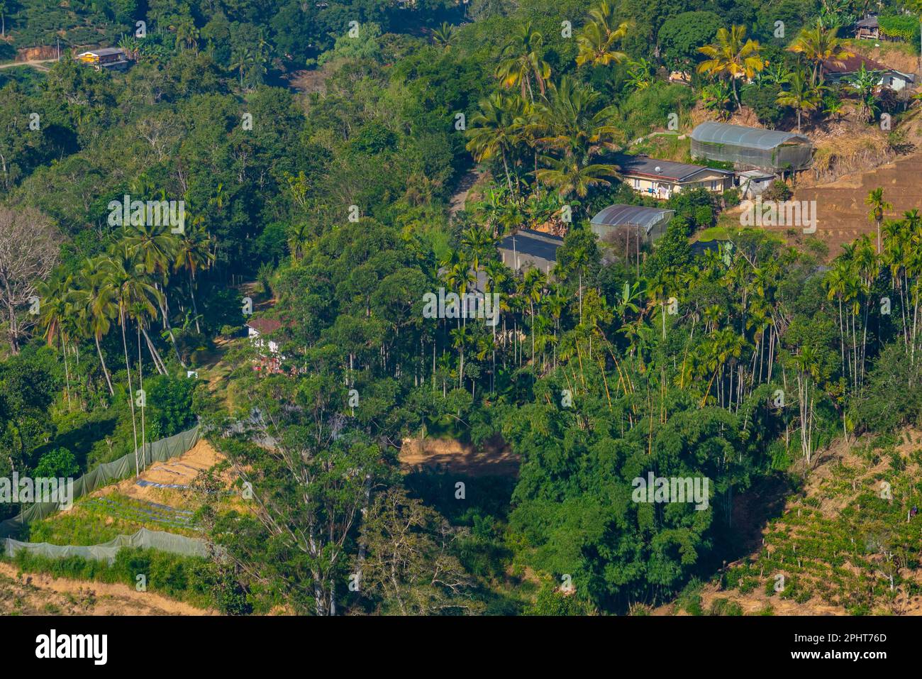Hilly landscape of Sri Lanka dotted with villages and tea plantations ...