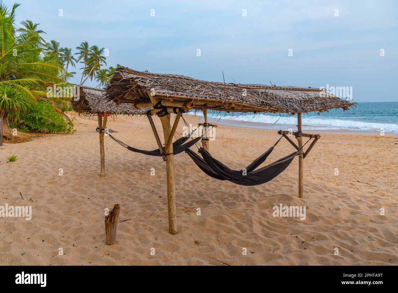 Hammocks at Marakolliya beach, Sri Lanka Stock Photo Alamy