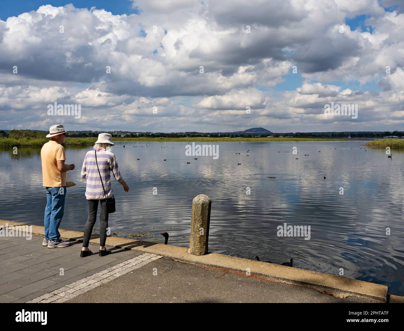 Ballarat Australia /  A couple feeding swans at Lake Wendouree. Stock Photo