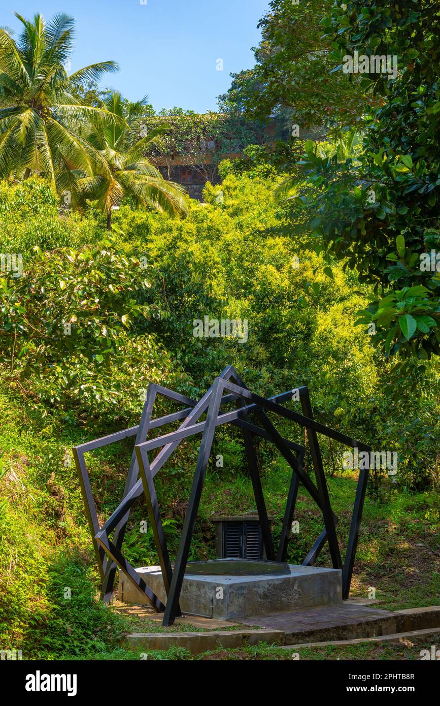 Mirissa hills cinnamon plantation at Sri Lanka Stock Photo Alamy