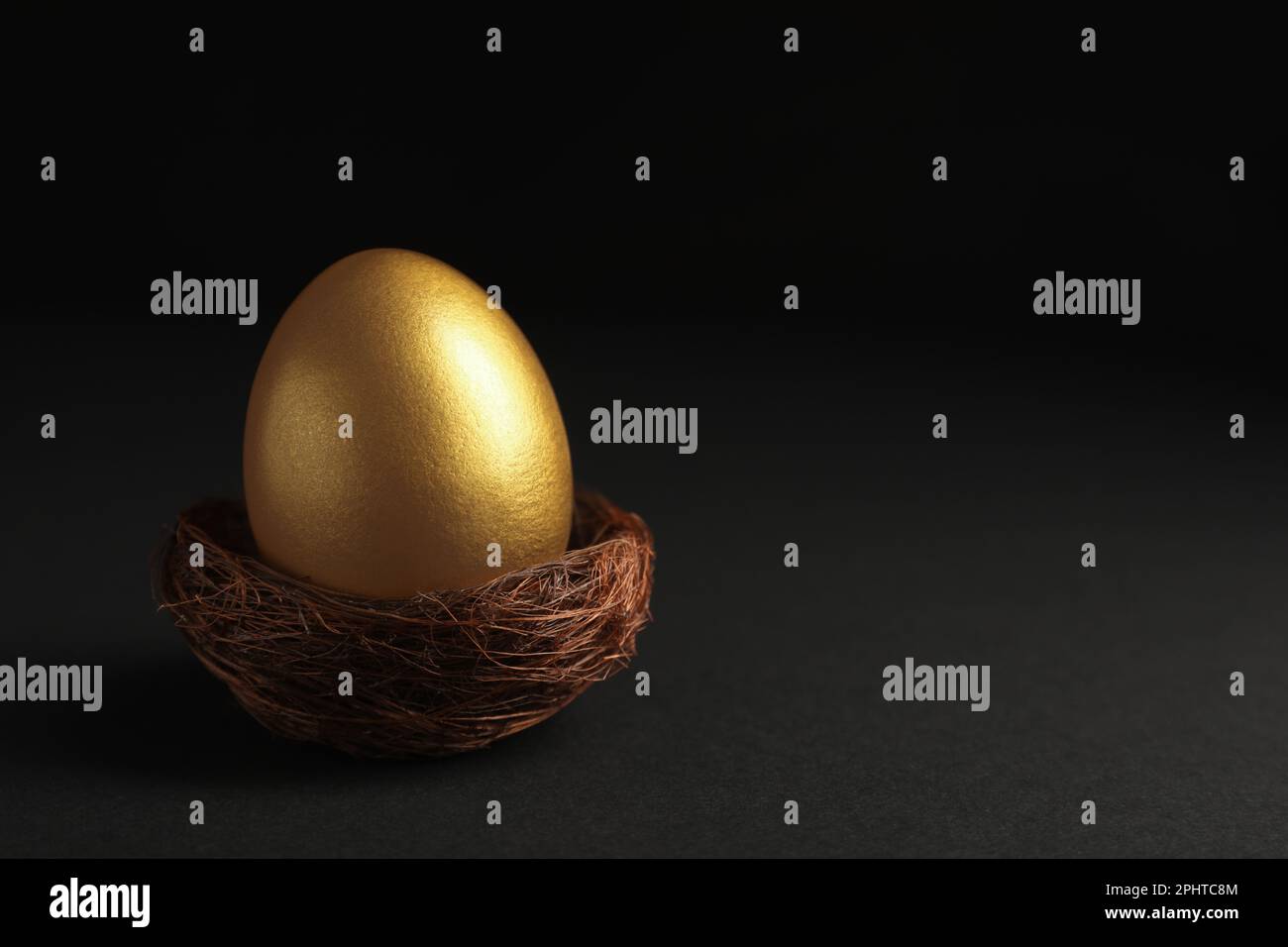 Shiny golden egg in nest on black background, space for text Stock ...