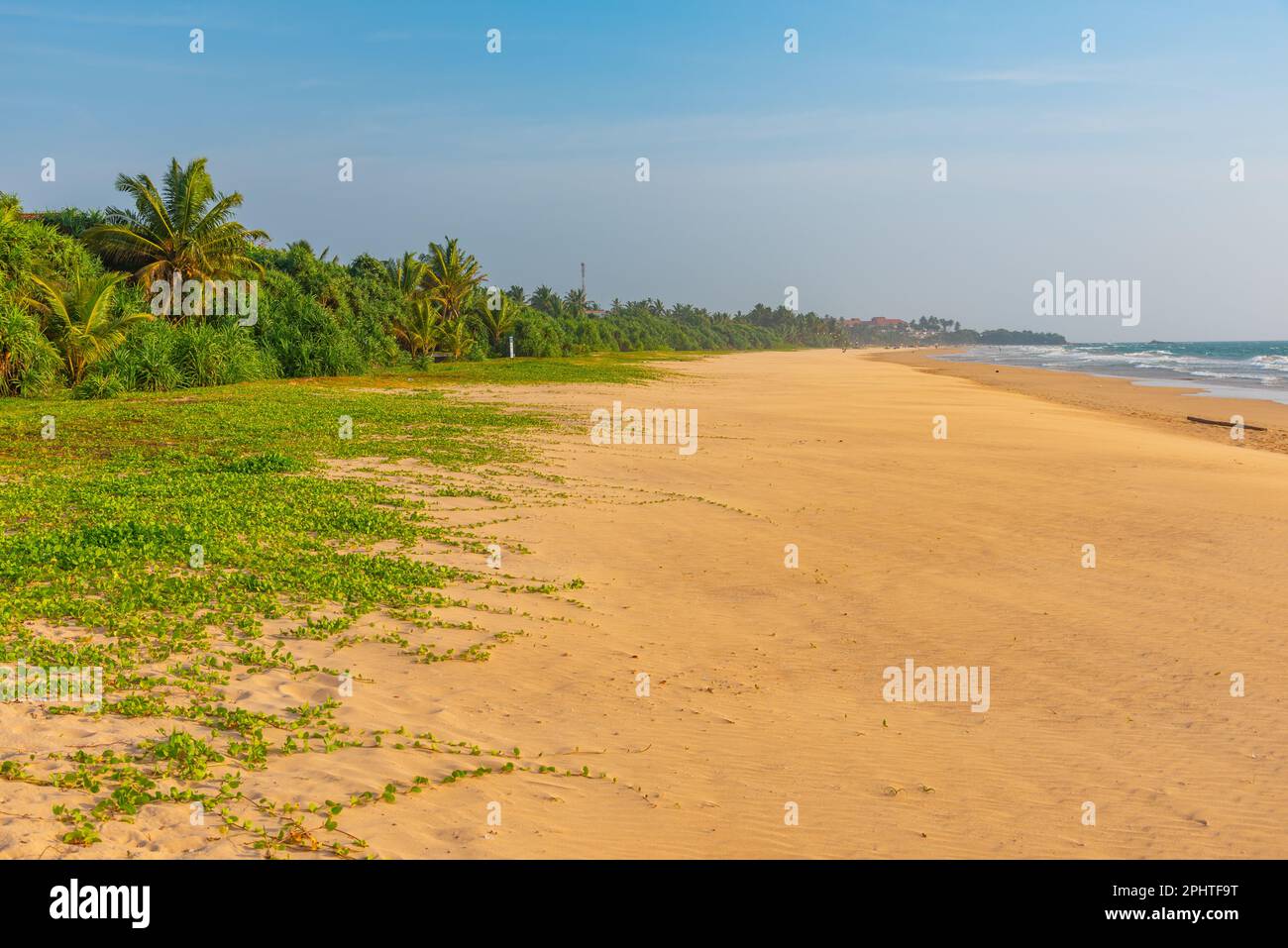 sunny-day-at-bentota-beach-at-sri-lanka-stock-photo-alamy