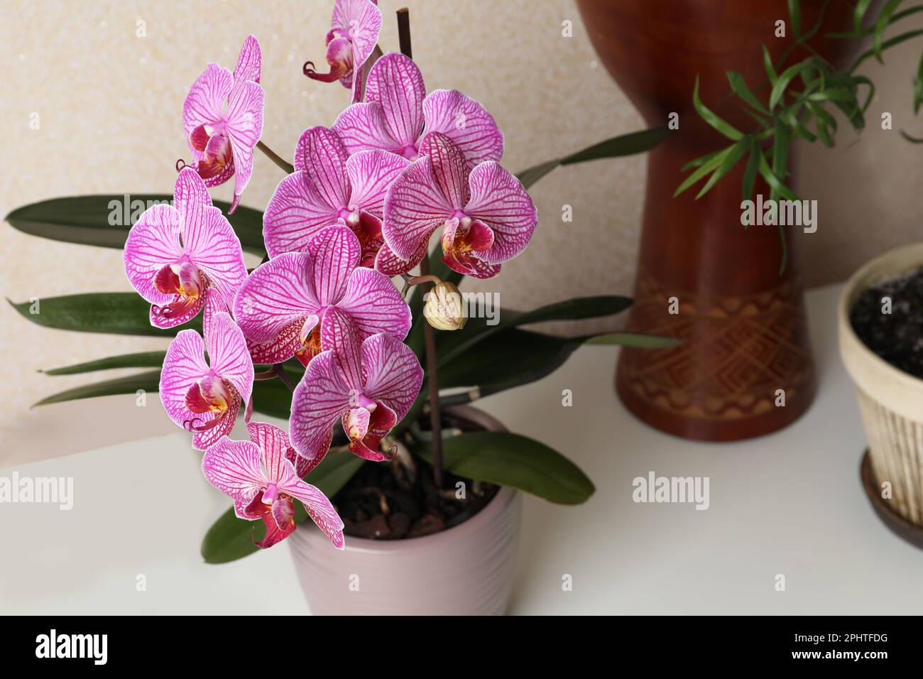 Beautiful pink orchid flower on white table, closeup Stock Photo