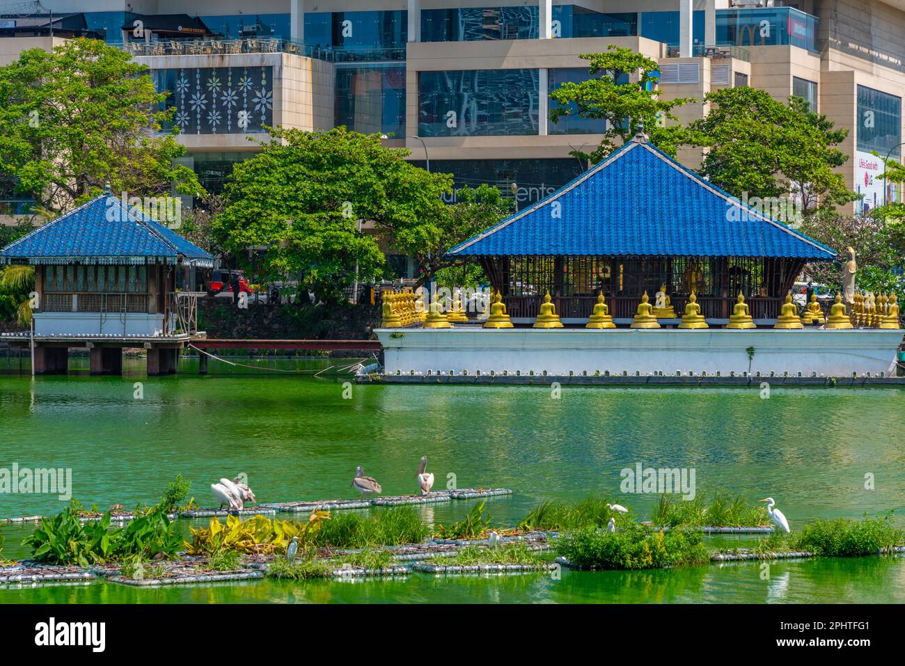 Gangarama Seema Malakaya buddhist temple at Colombo, Sri Lanka. Stock Photo