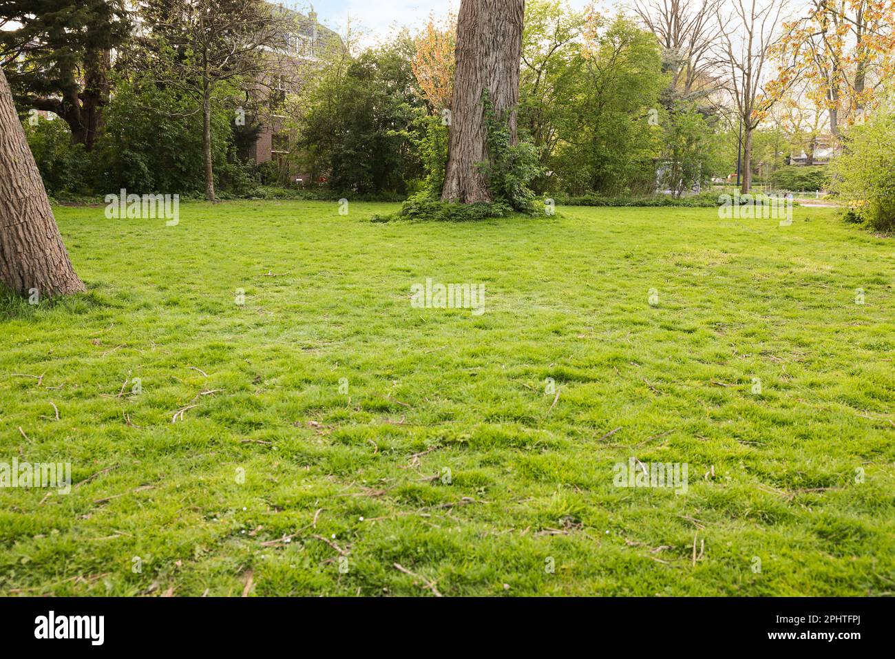 Beautiful park with trees and bright green grass Stock Photo - Alamy