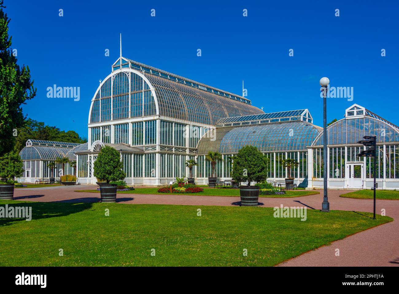 The palm greenhouse at the Garden Society of Gothenburg in Sweden Stock Photo Alamy