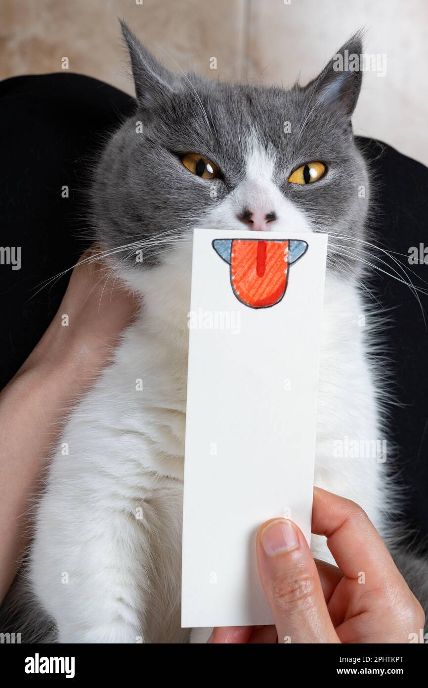 cat with hand drawn sketch of a mouth with a sticking out tongue Stock