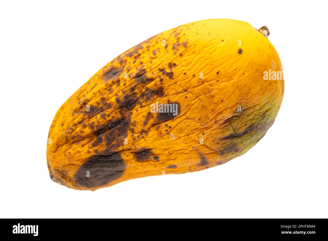 top view rotten mango with worms on a white background Stock Photo - Alamy