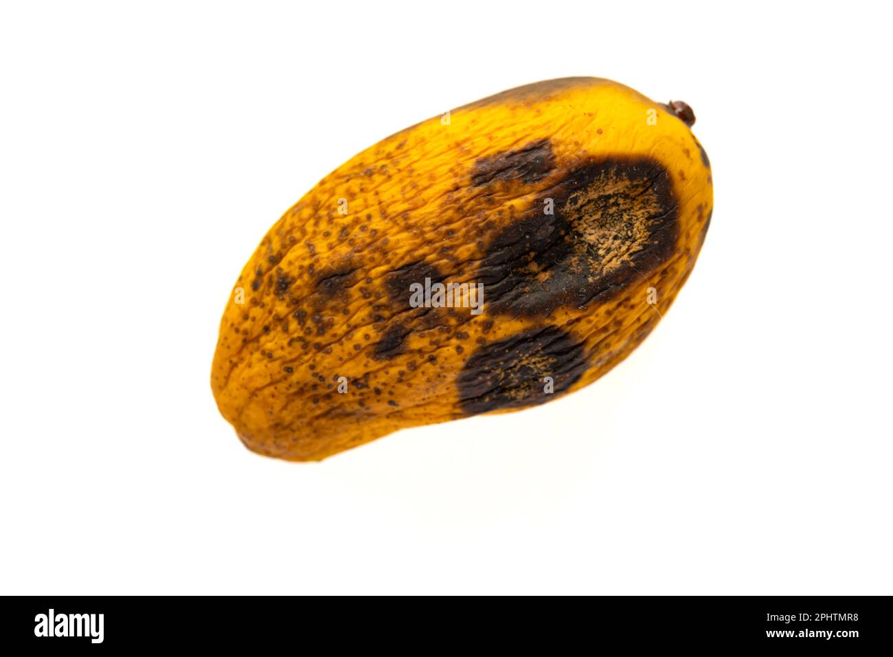 top view rotten mango close up on a grey background #AD , #rotten, #view,  #top, #mango, #background