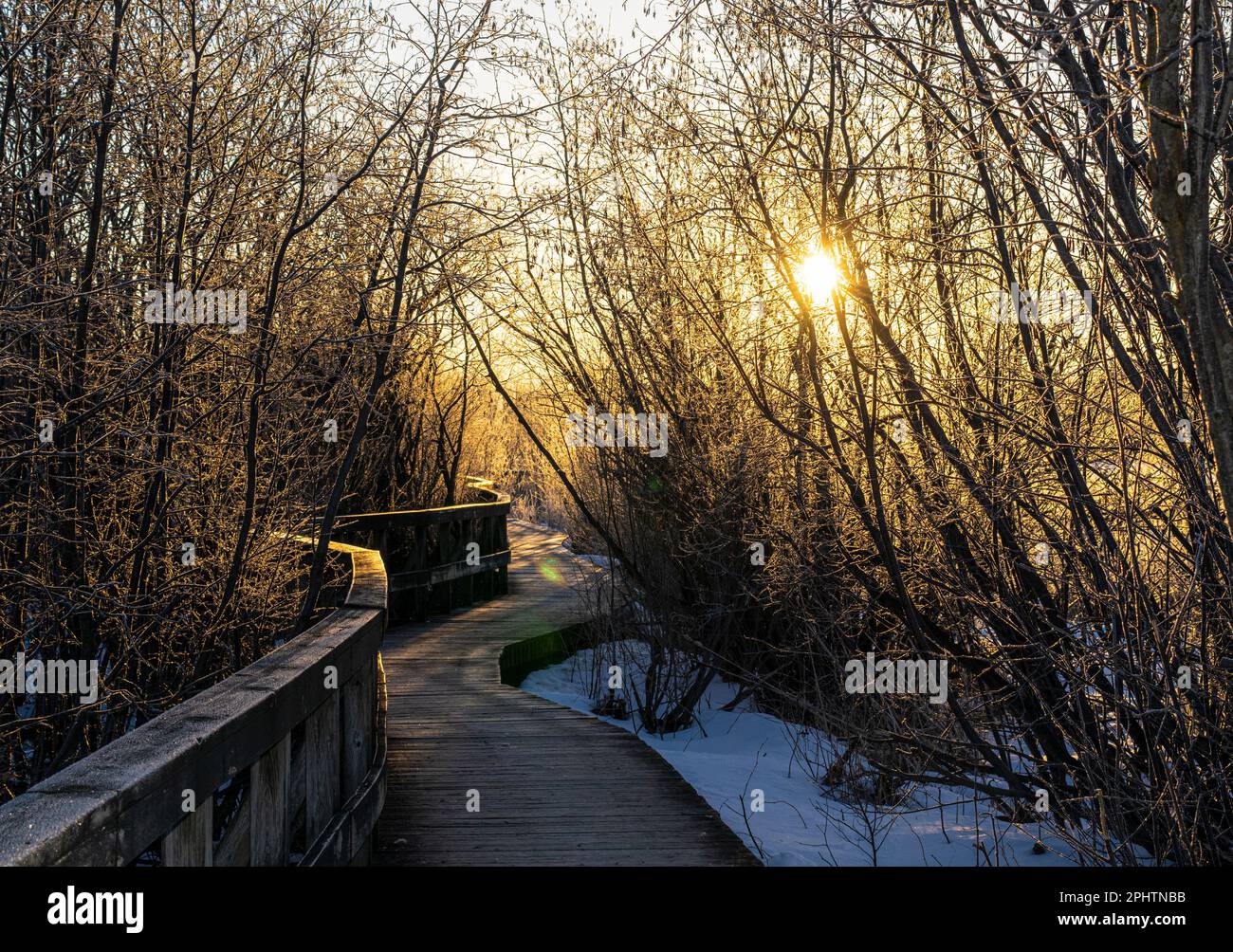 Levé de soleil au Centre d'interprétation de la nature du lac Boivin Granby Québec Stock Photo
