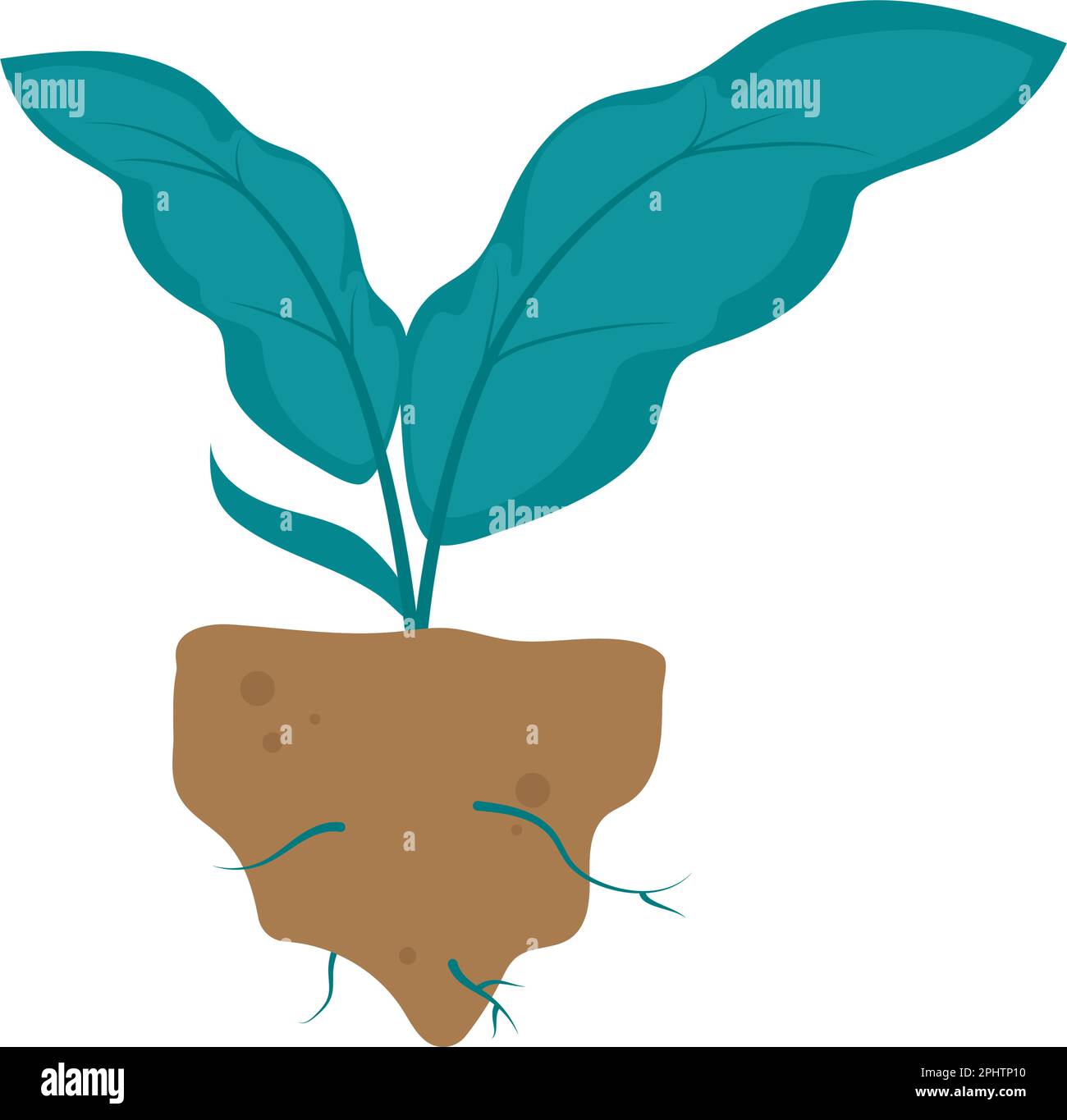 Planted seedling Stock Vector Images Alamy Planted seedling Stock Vector Images Alamy