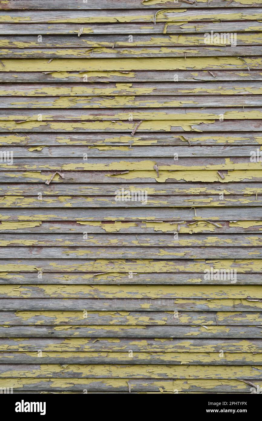 Wood siding of old building peeling yellow paint Stock Photo