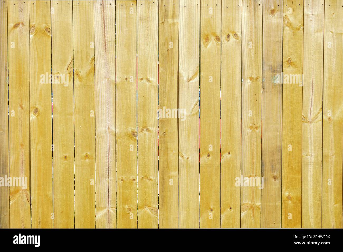 Bright natural yellow wood fence planks Stock Photo