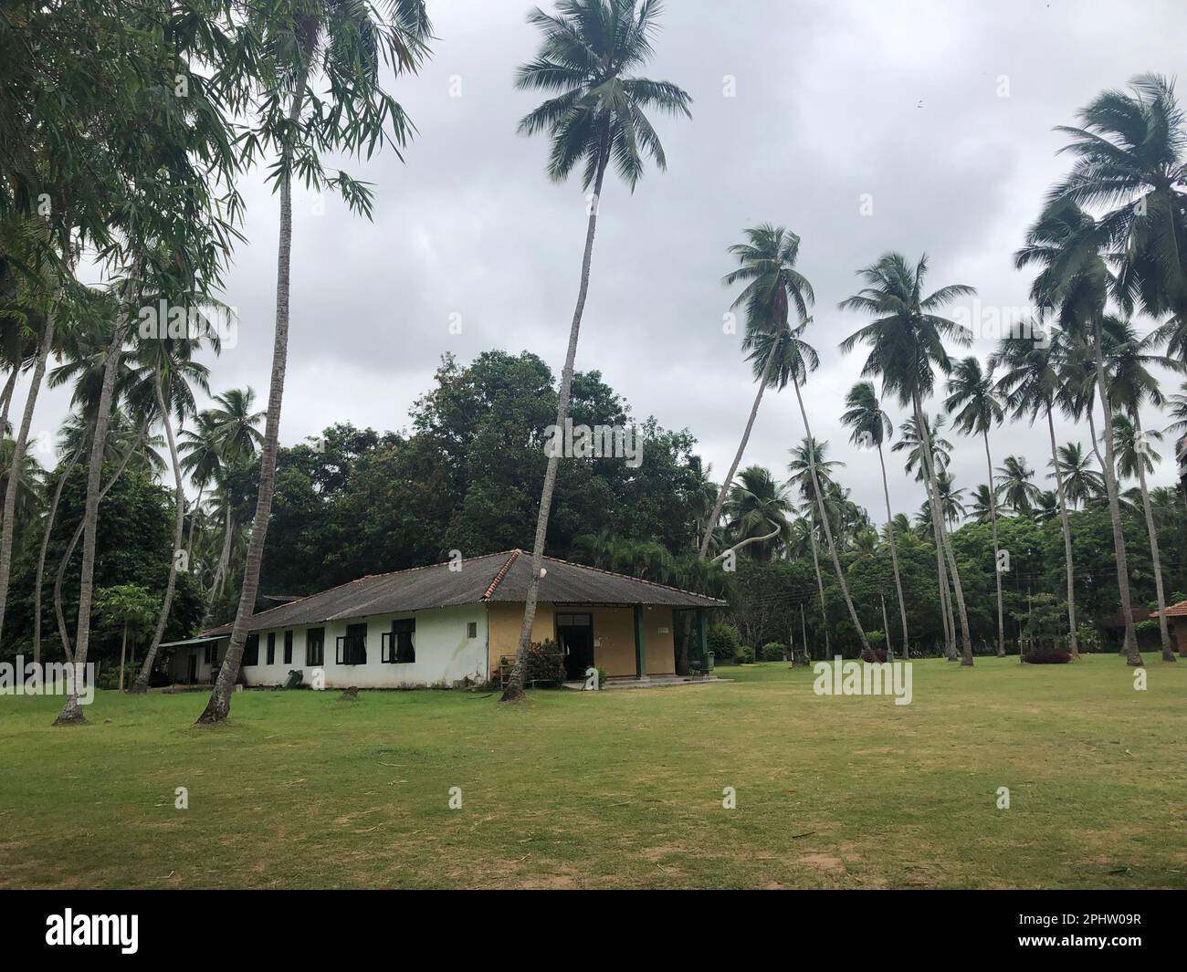 Photograpy in sri lanka hi-res stock photography and images - Alamy
