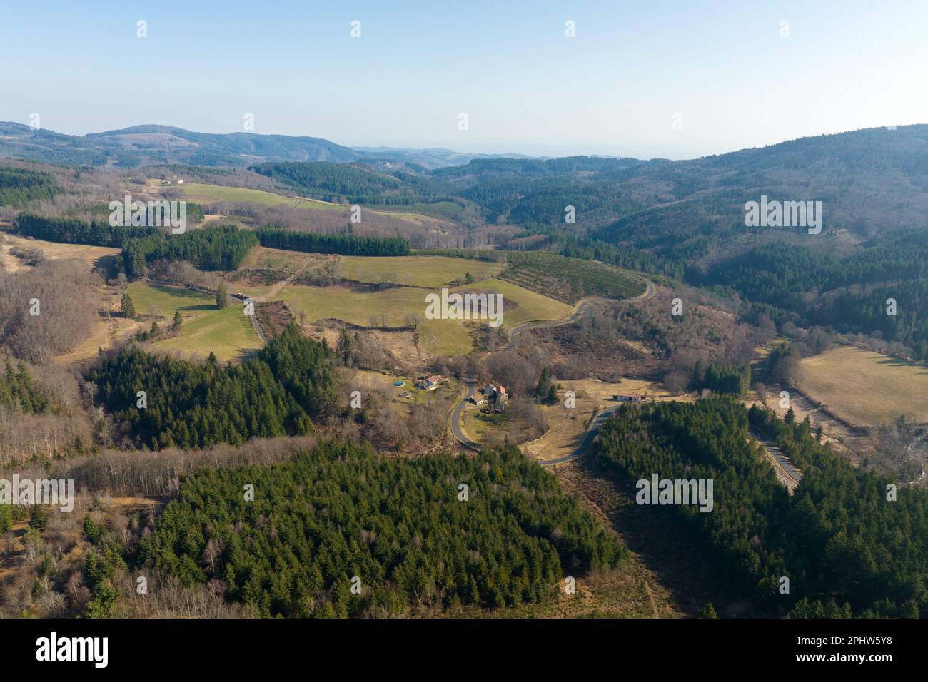 Aerial view of pine forest with large area of cut down trees as result