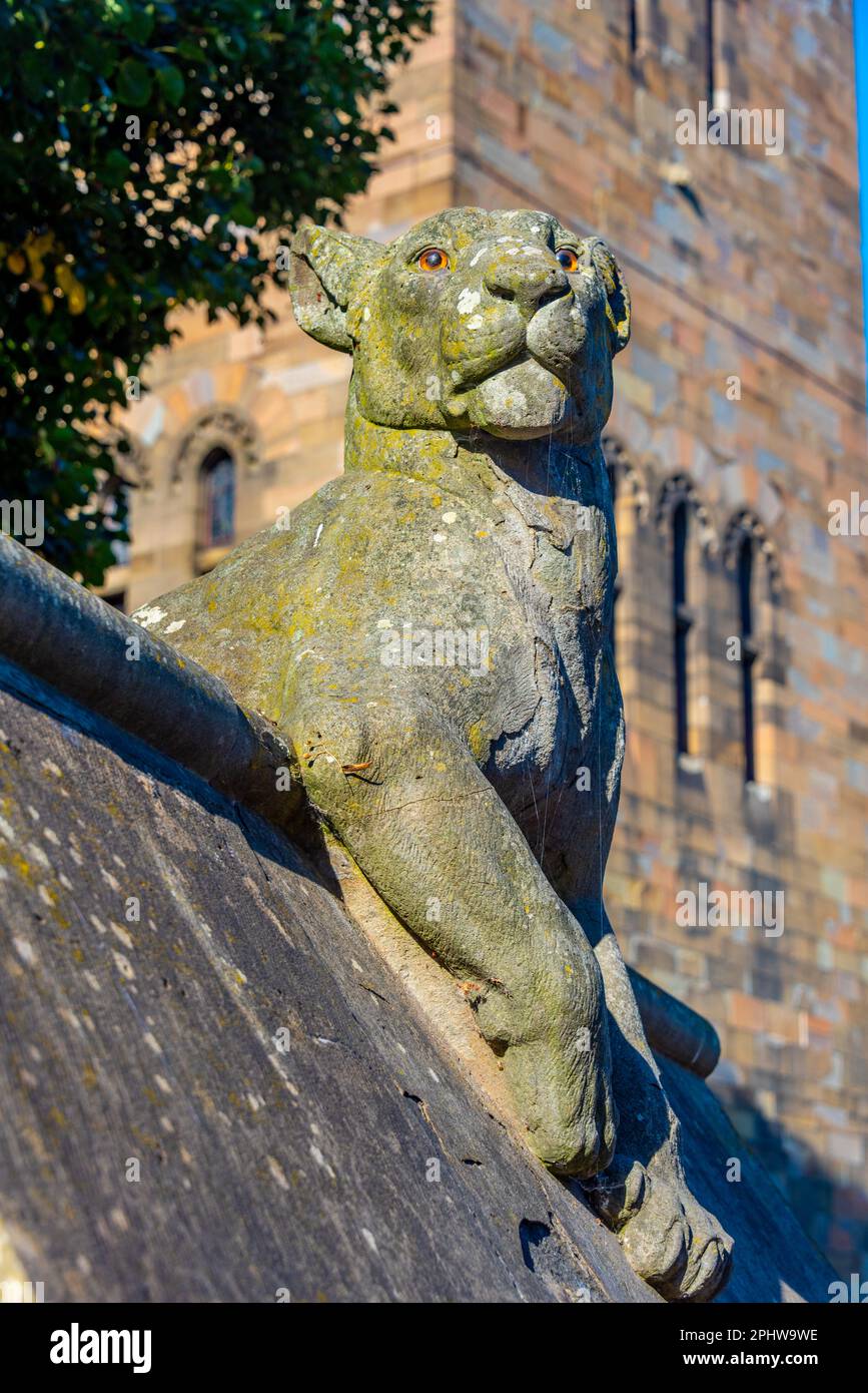 Animal wall of Bute park at Welsh capital Cardiff, UK Stock Photo - Alamy