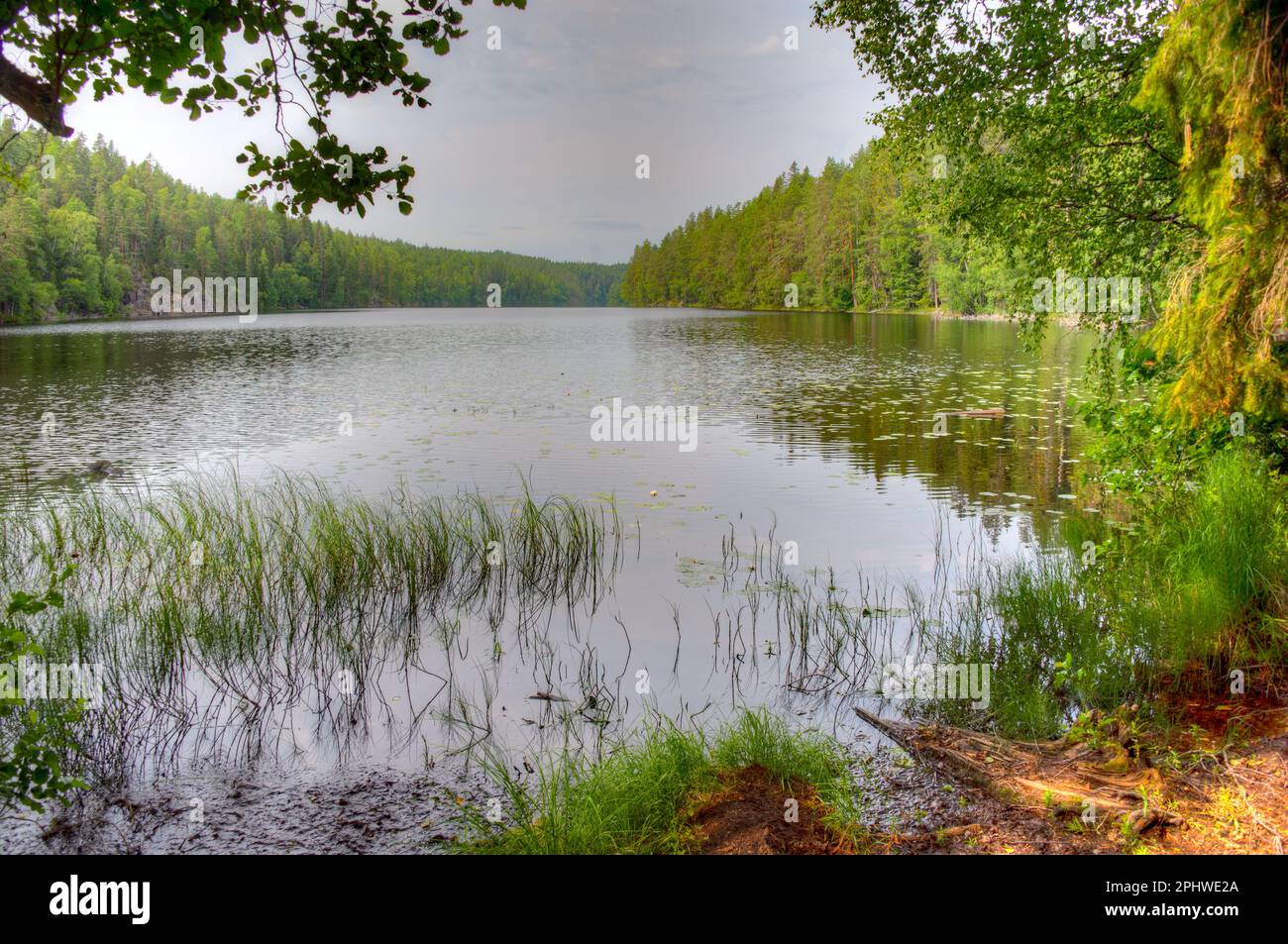 helvetinkolu-lookout-at-helvetinj-rvi-national-park-in-finland-stock