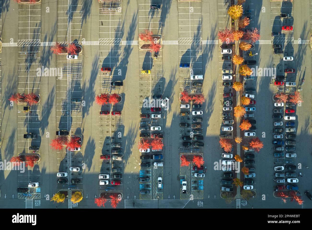 View from above of many parked cars on parking lot with lines and