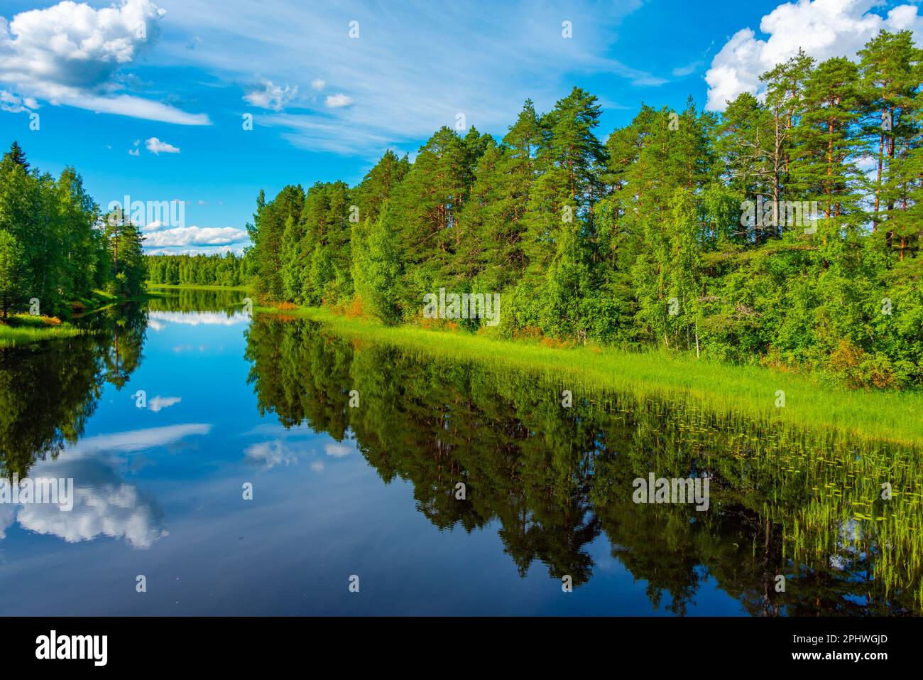 Pine forest reflected on water in Finland. Stock Photo