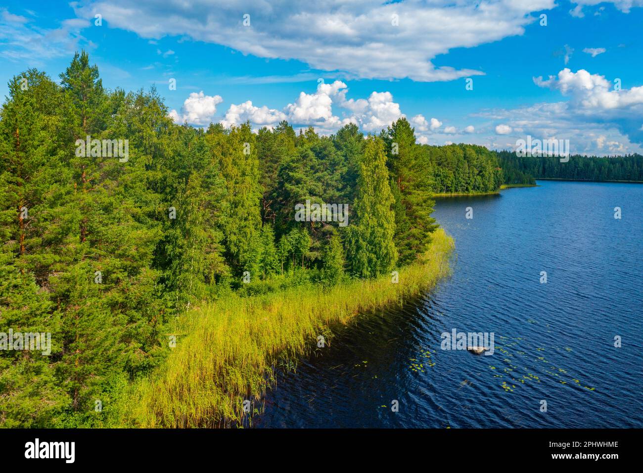 Natural landscape of koskijärvi lake in Finland Stock Photo - Alamy