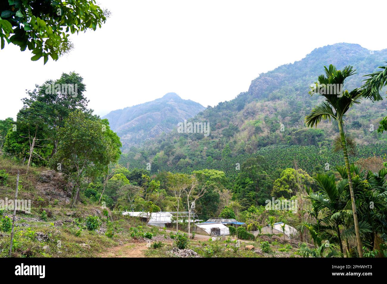 Environment rainforest hi-res stock photography and images - Alamy
