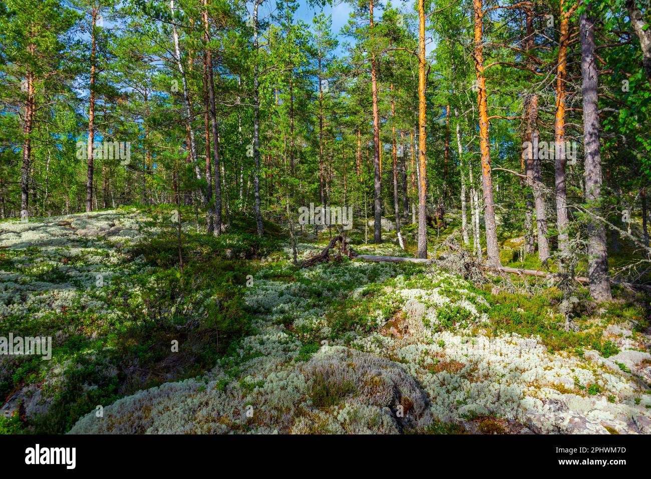 Sammallahdenmäki is a Bronze Age burial site in Finland near Rauma Stock Photo