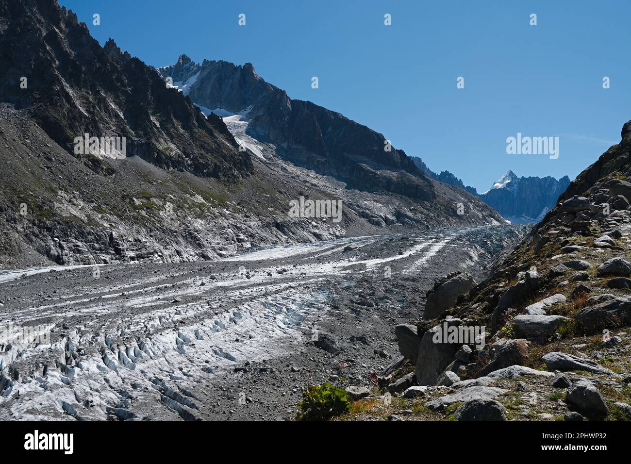 Summer nature landscape with Argentiere Glacier, Chamonix area, Haute Savoie, France Stock Photo