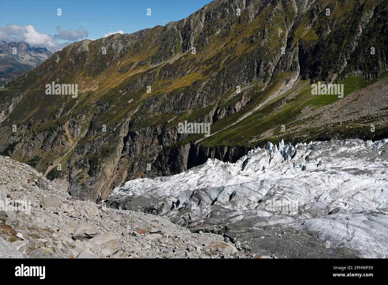 Summer nature landscape with Argentiere Glacier, Chamonix area, Haute Savoie, France Stock Photo