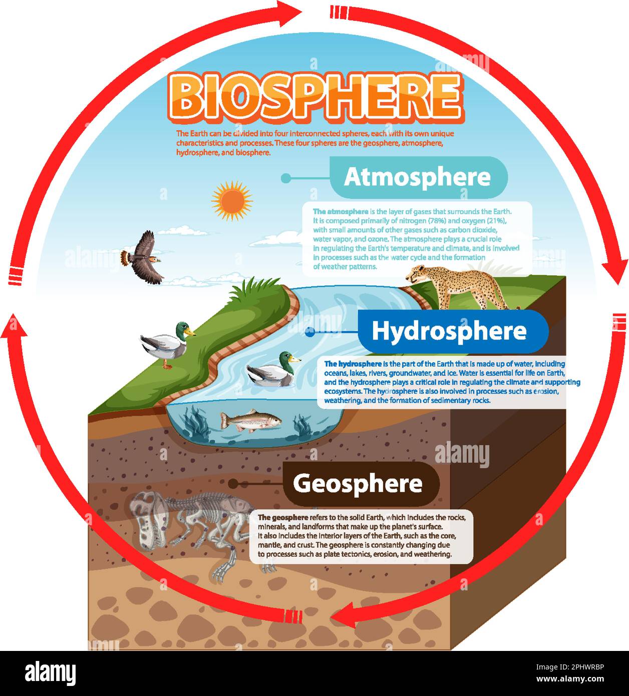 earths biosphere diagram