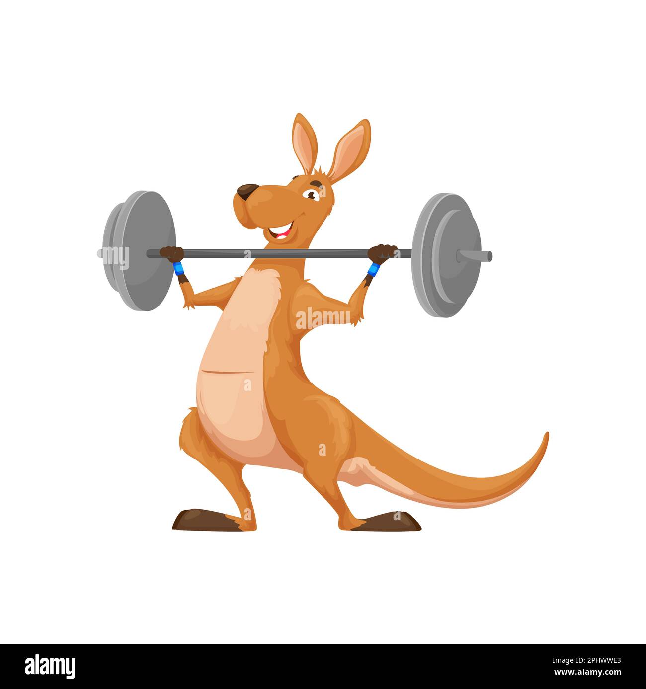 Cartoon kangaroo character with barbell. Isolated funny vector australian animal sportsman. Smiling wallaroo personage wear exercising with weight pre Stock Vector